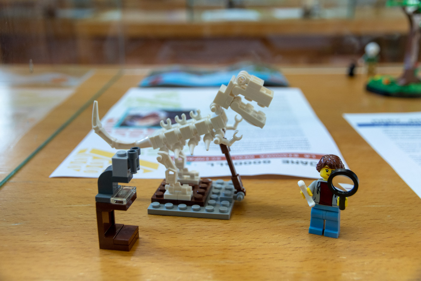 Donne e scienza”: esposizione, aperta al pubblico, di scenari scientifici  realizzati con i mattoncini Lego ®, in mostra alla Scuola Sant'Anna |  Scuola Superiore Sant'Anna