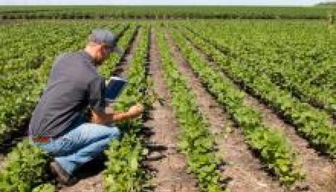 agronomo-agronomi-tablet-campo-soia-agricoltura-digitale-497029784522c08949d