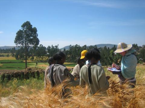 Image for ricercatori_al_lavoro_nei_campi_in_etiopia.jpg