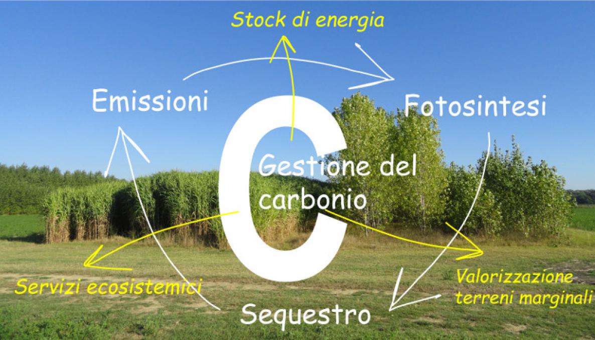 Image for carboncycle.jpg