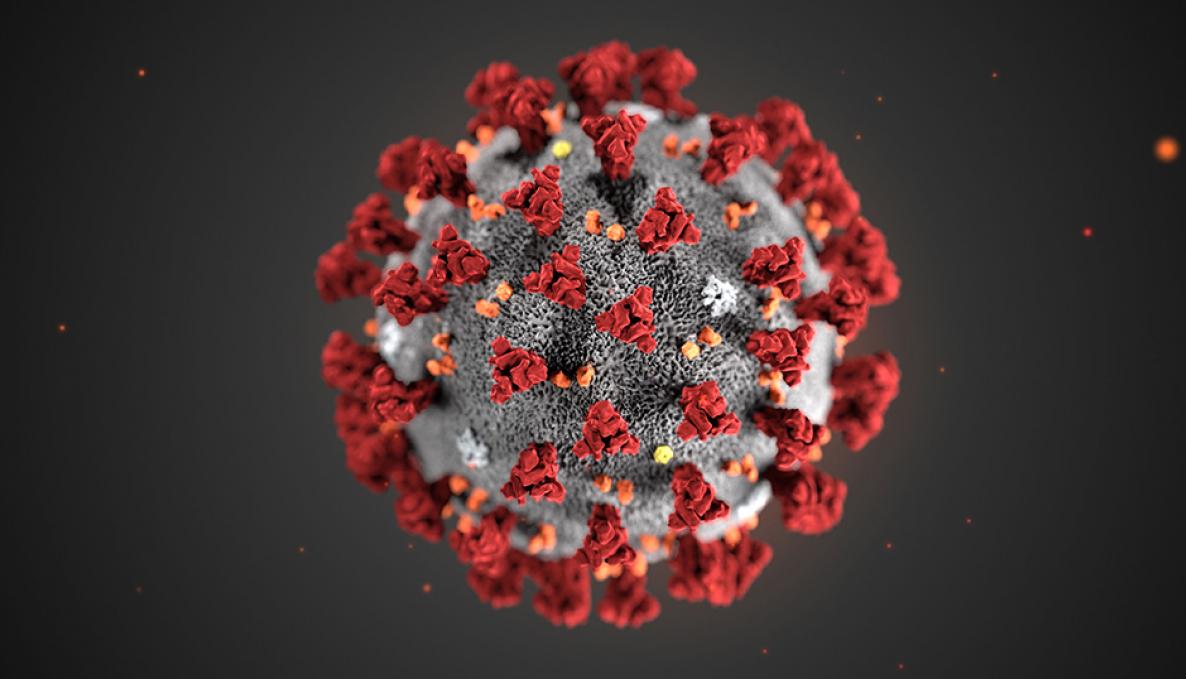 Image for coronvirus.jpg